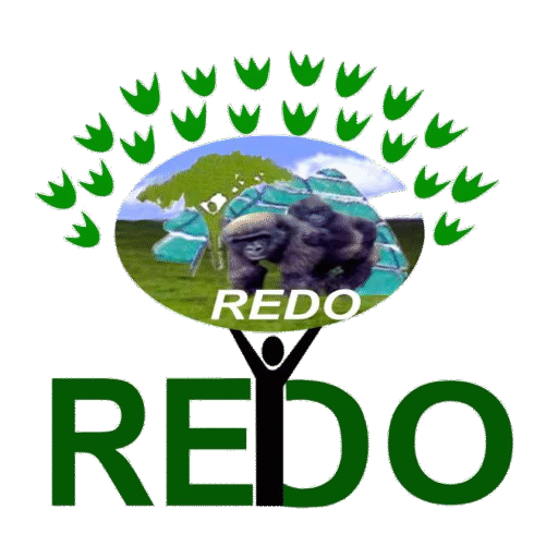 REDO – Rural Environment and Development Organization